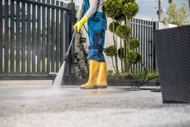 Best Local Pressure Washing Services  in Clover Creek, WA